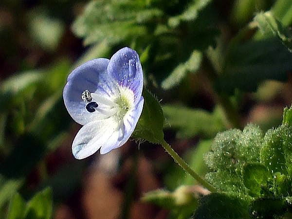 f0200594_18262089.jpg