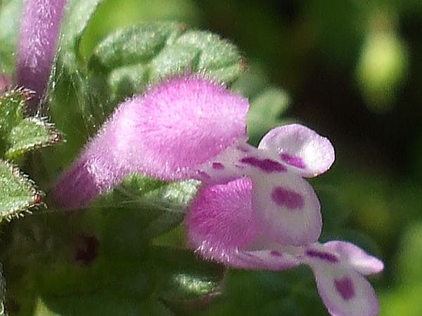 f0200594_18292757.jpg