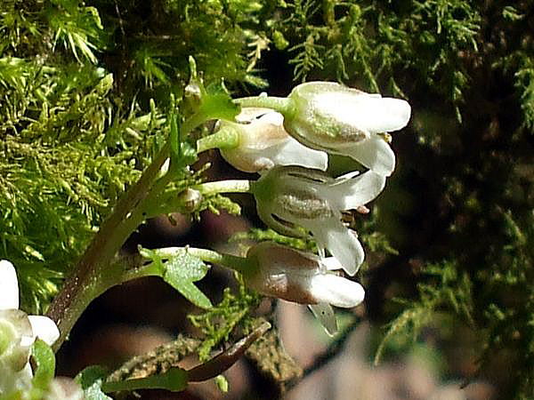f0200594_183391.jpg