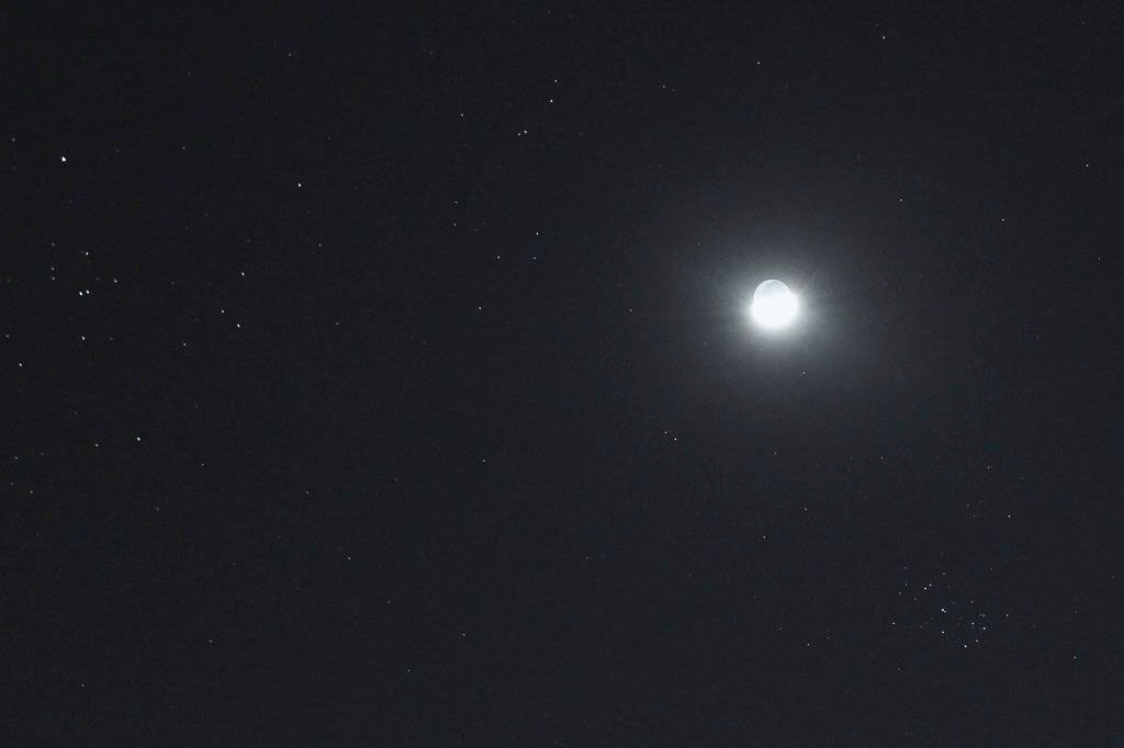 b0024798_12561663.jpg