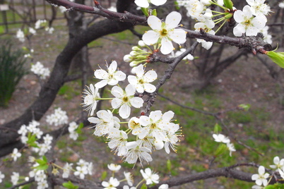 a0025704_17382829.jpg