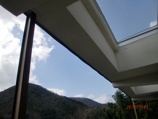 a0167204_011018.jpg
