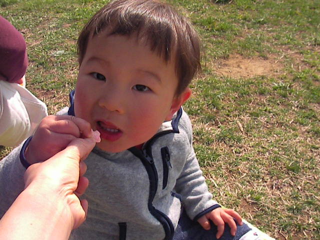 f0038407_107449.jpg