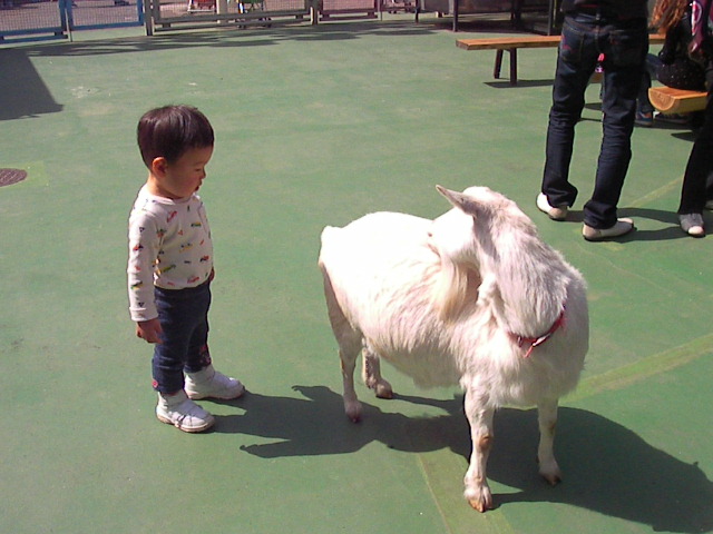 f0038407_9455079.jpg