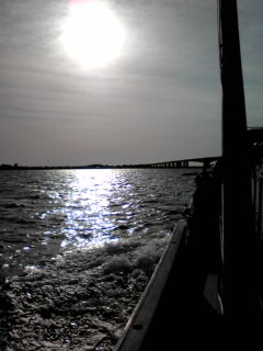 c0065309_15145385.jpg