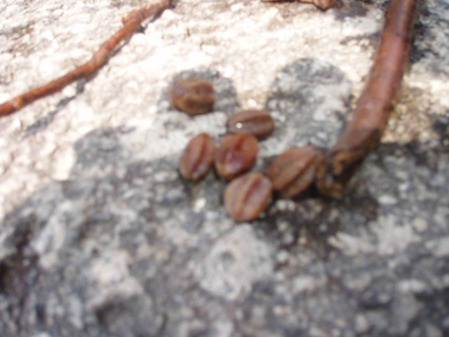 e0148419_12314278.jpg