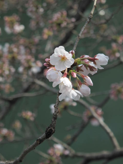 c0202123_140796.jpg
