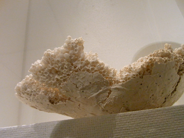 d0128725_47714.jpg