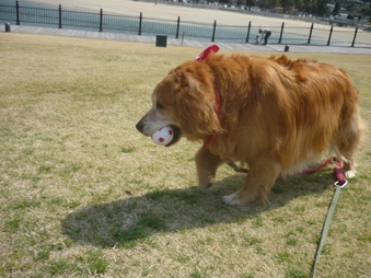 本日もビーチは大盛況_b0174534_20272323.jpg