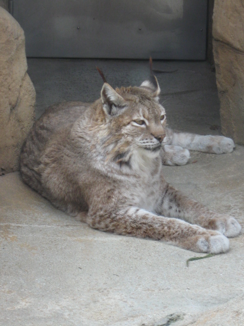 ♪♪　go to the zoo (2) _a0068035_23312420.jpg