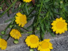 c0097838_22372523.jpg