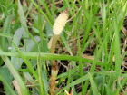 c0097838_2239754.jpg