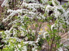 c0097838_22413471.jpg