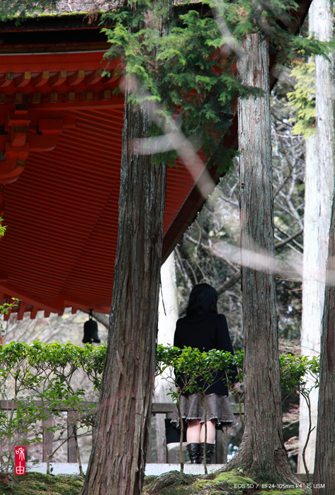 岩盤の上に建つ石山寺_c0187744_19472590.jpg