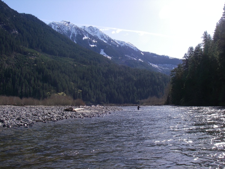 Squamish River_f0084544_10482773.jpg