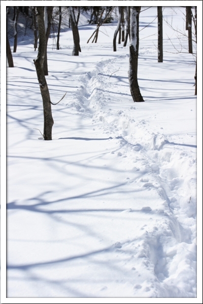 Snow Camp In TANIGAWA Vol.1_c0228945_1033376.jpg