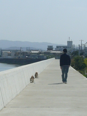e0100046_21123458.jpg