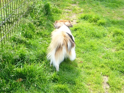 e0100046_2134075.jpg