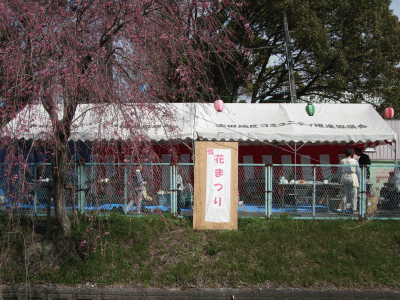 f0226346_1132146.gif