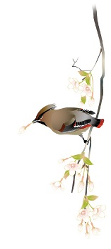 4月はお休み 5月に説明懇談会_d0132349_23205117.jpg
