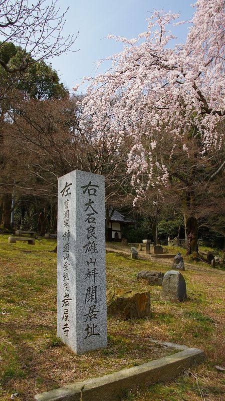 都路の桜便り２０１０ （山科 大石内蔵助隠棲の旧跡 岩屋寺の枝垂桜 ） (2010年03月23日)_c0119555_1220032.jpg