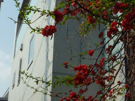 散歩は続く…_b0093660_12102429.jpg