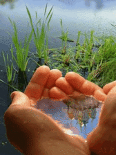 a0063364_143271.gif