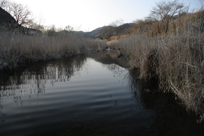 c0214764_0101888.jpg