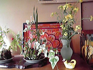 c0011169_86295.jpg
