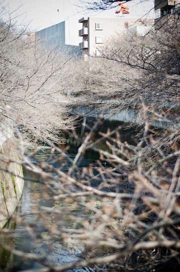 c0164274_0481025.jpg