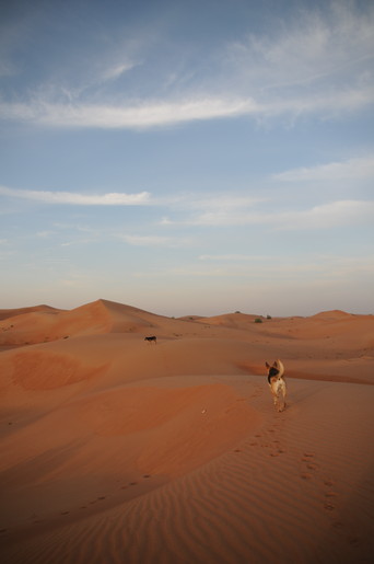 e0066474_10365325.jpg