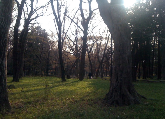 f0072976_0195727.jpg