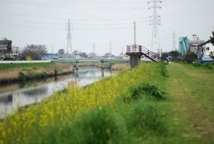 b0120979_913411.jpg