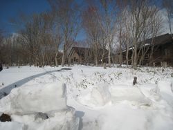 雪景色「羽鳥湖高原別荘」～お茶室のある家～_a0129492_7192629.jpg