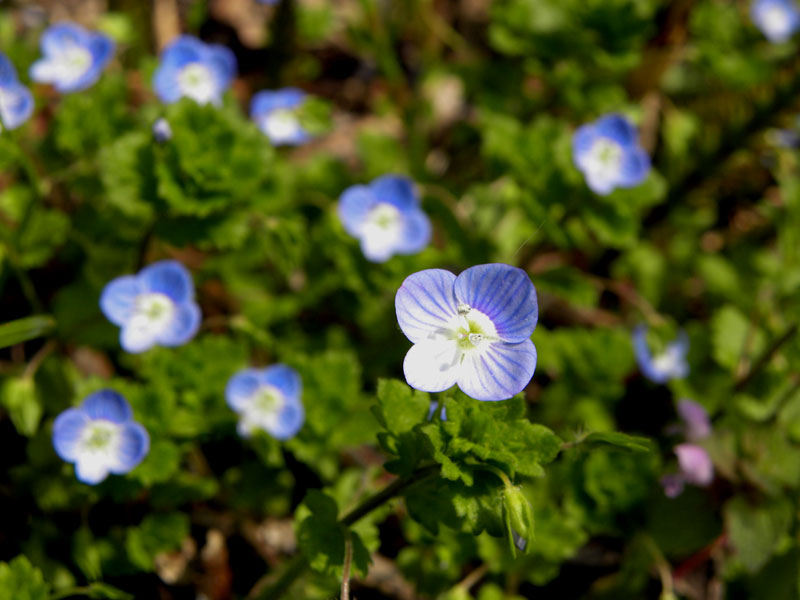 a0102794_8362934.jpg