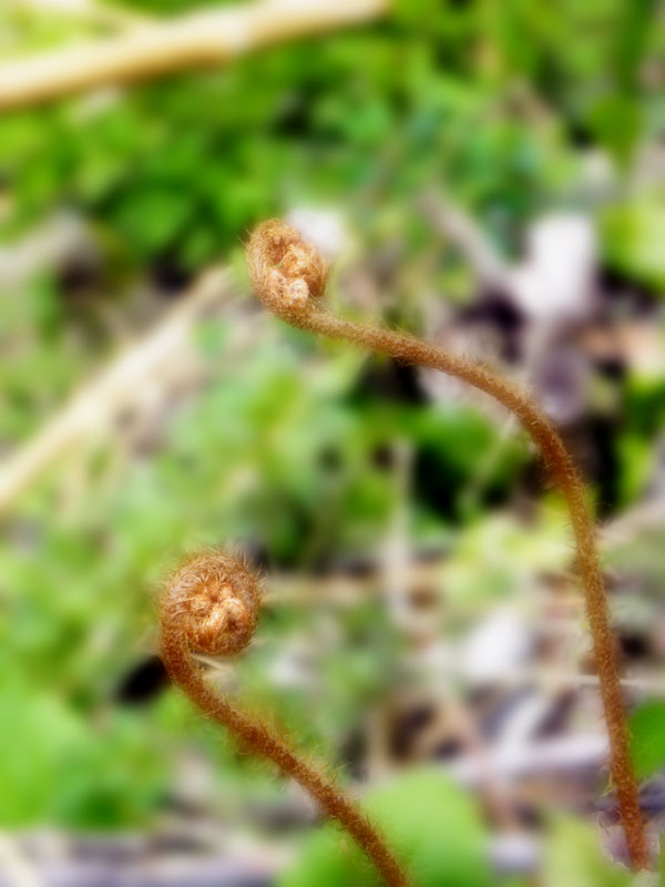 a0102794_836427.jpg