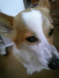 f0017897_20111072.jpg