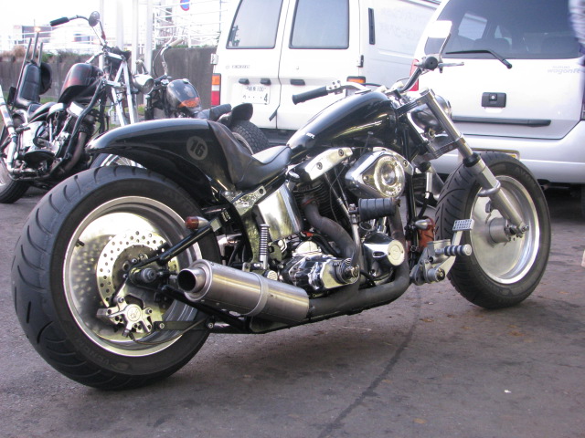 SHOVELHEAD ON SOFTAIL_a0165898_16375.jpg