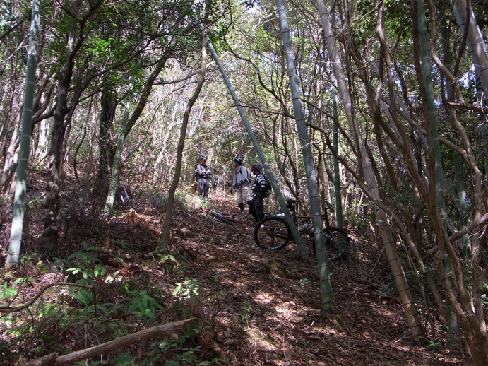 c0095900_12143632.jpg
