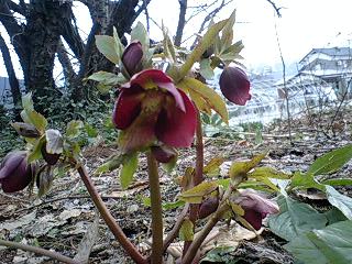 c0163102_20443669.jpg