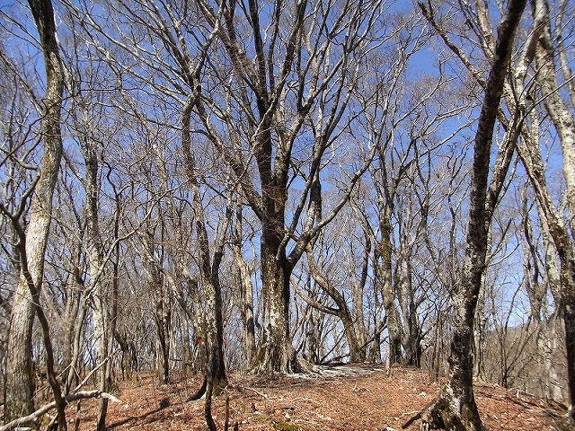 f0187402_19385477.jpg