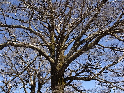 f0187402_19401864.jpg