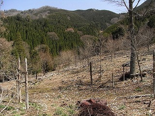 f0187402_20455070.jpg