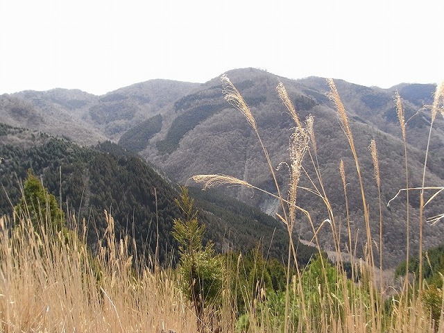 f0187402_20461859.jpg