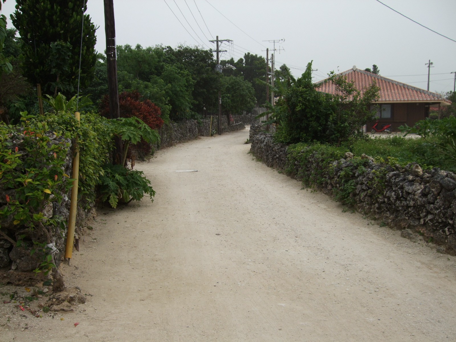 c0174407_2159738.jpg