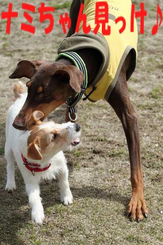 e0100007_20104047.jpg