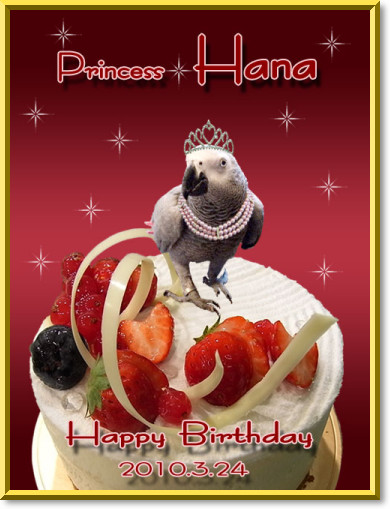 happy birthday to hana ♪_c0133013_1921217.jpg