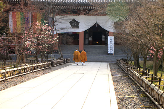 モクレン満開 智積院_e0048413_21513592.jpg