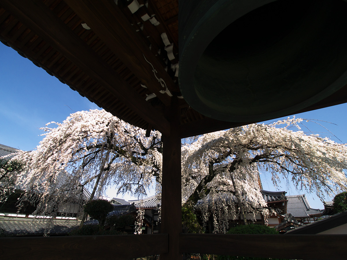 c0115616_533733.jpg