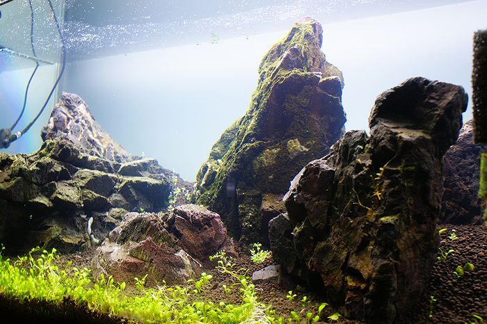 c0119618_834254.jpg